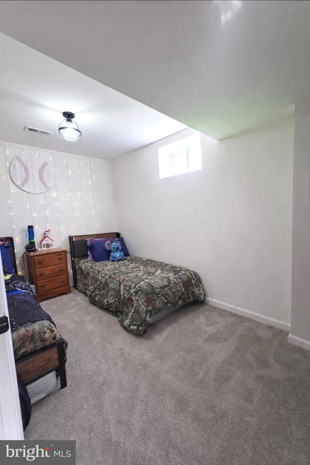 6014 Stubbs Bridge Road Mineral, VA 23117 - Photo 32 of 53 Basement Room (NTC)