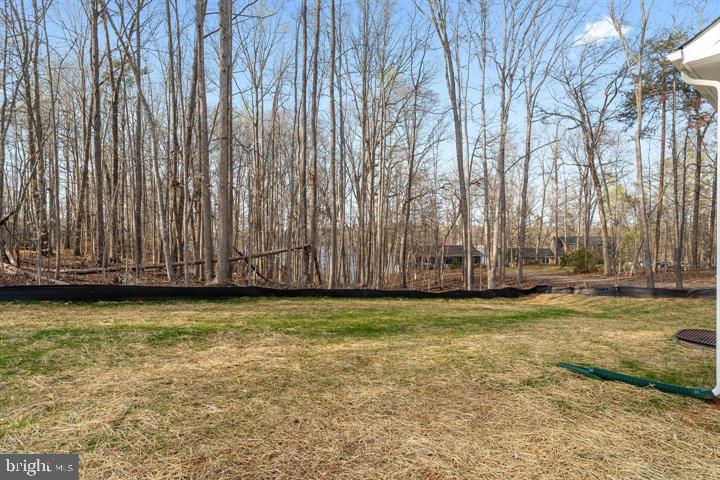 6014 Stubbs Bridge Road Mineral, VA 23117 - Photo 46 of 53