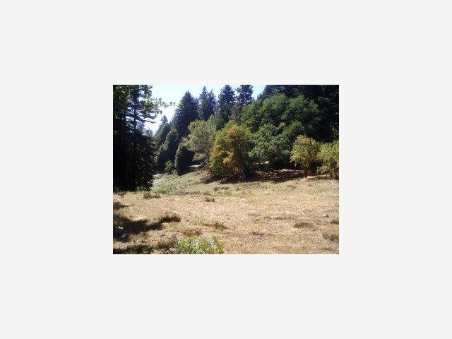 12535 Alba Road Ben Lomond, CA 95005 - Photo 3 of 9 Gallery Image 3