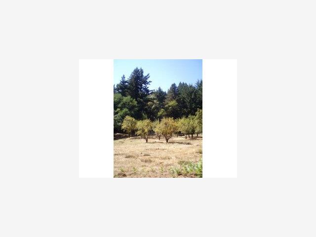 12535 Alba Road Ben Lomond, CA 95005 - Photo 9 of 9 Gallery Image 9