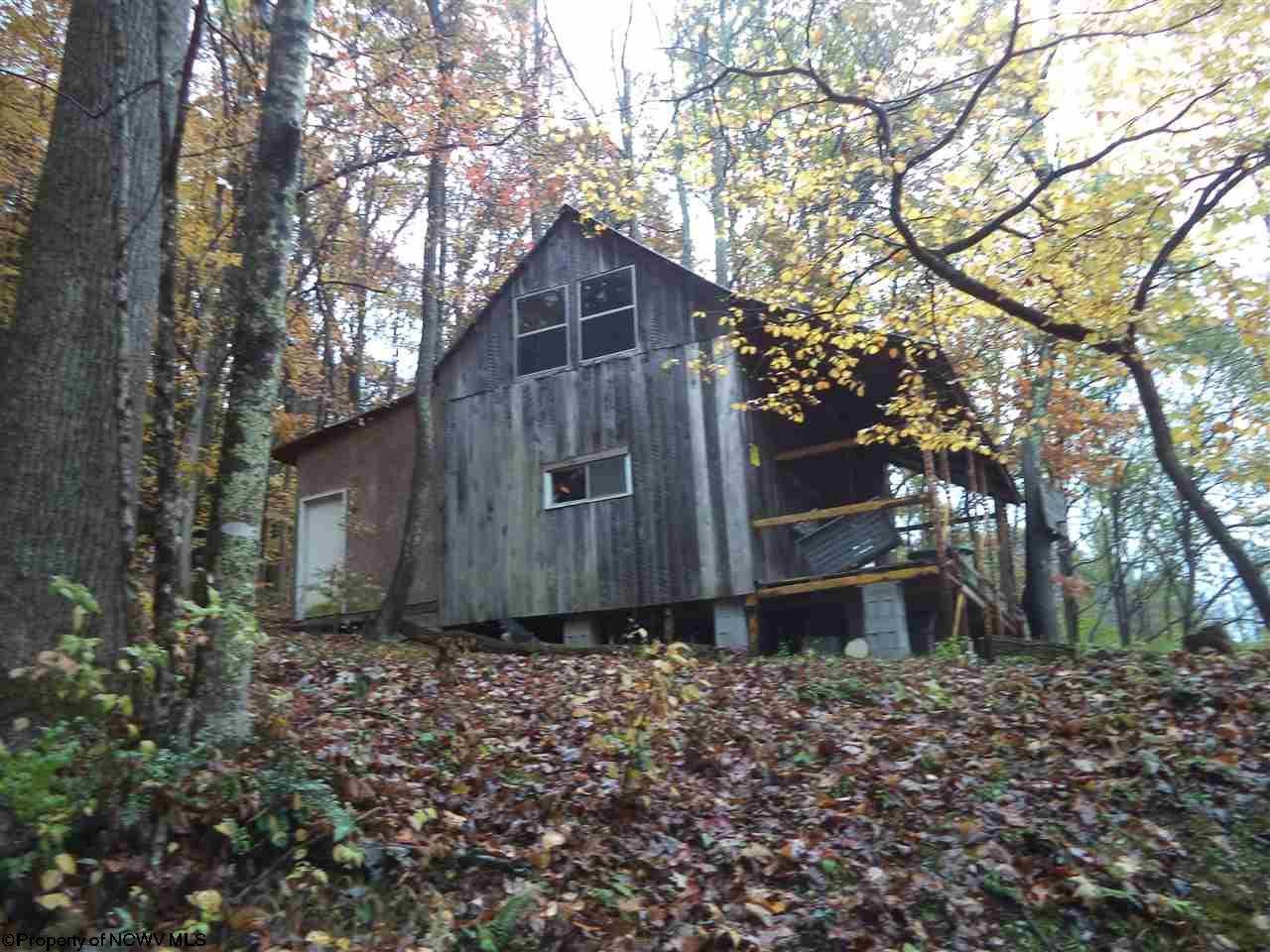 0 John Deitz Road Parsons, WV 26287 - Photo 2 of 11 Gallery Image 2