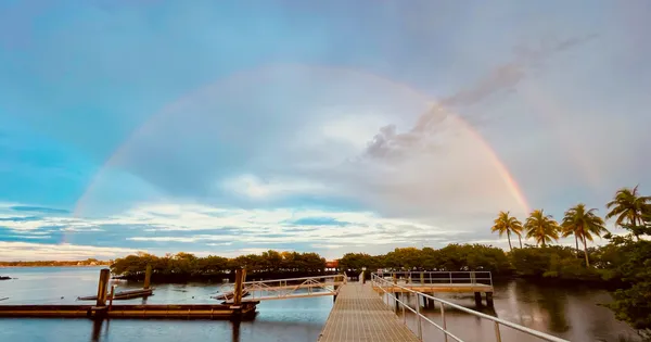a view of a patio with table and chairs under an umbrella with wooden floor
