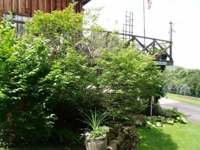 979 Elk Road Warren, PA 16365 - Photo 11 of 45 Gallery Image 11