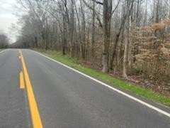 17 Highway 304 Decatur, TN 37322 - Photo 3 of 8