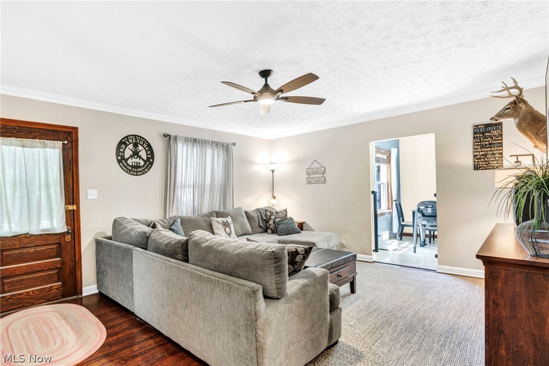 7983 Wadsworth Road Medina, OH 44256 - Photo 6 of 42 Living room with ornamental molding, ceiling fan, dark hardwood / wood-style floors, and a textured ceiling