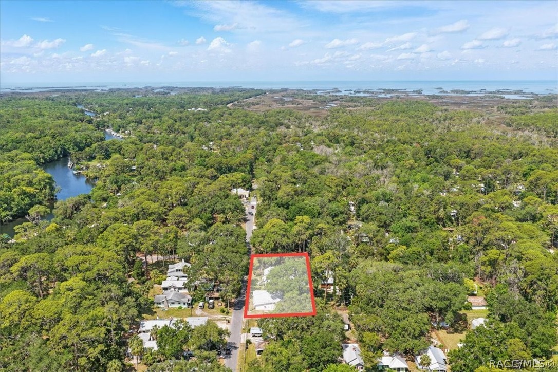 6 62nd Street Yankeetown, FL 34498 - Photo 51 of 55 a view of city and green space