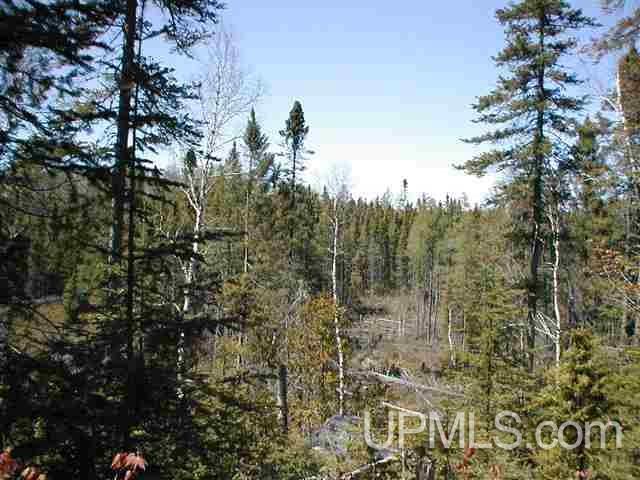 Tbd Off Craig Lake Road Michigamme, MI 49861 - Photo 12 of 23