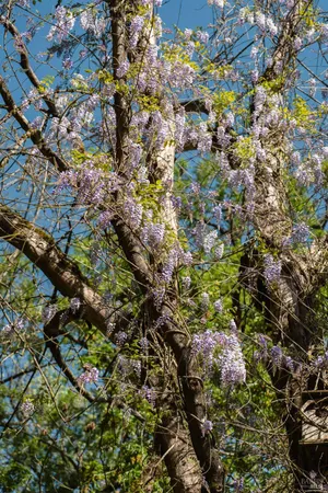 $165,000 | Undisclosed Address, Forestville, CA 95436