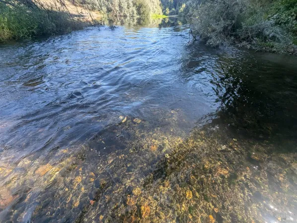 $165,000 | Undisclosed Address, Forestville, CA 95436