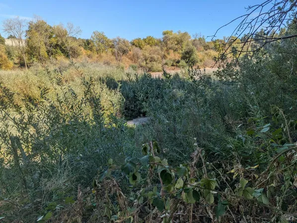 $165,000 | Undisclosed Address, Forestville, CA 95436