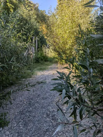 $199,000 | Undisclosed Address, Forestville, CA 95436