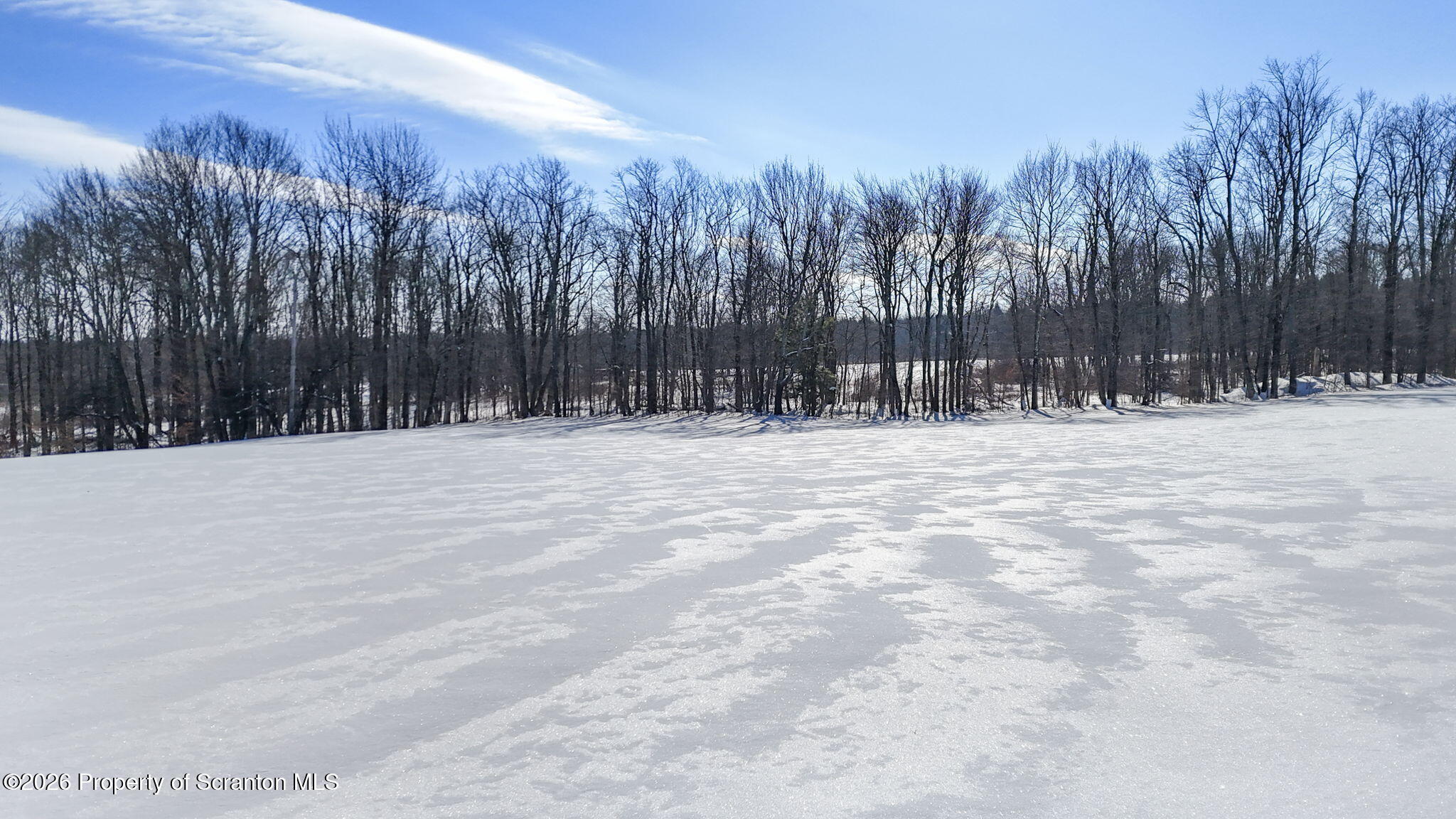 North Road Pleasant Mount, PA 18453 - Photo 11 of 12 Land View
