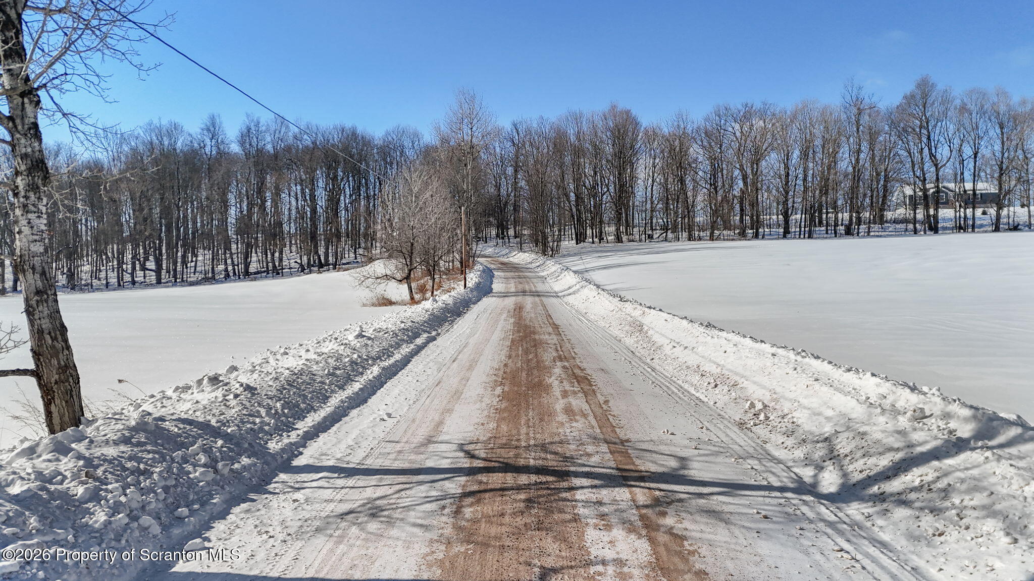 North Road Pleasant Mount, PA 18453 - Photo 3 of 12 Road