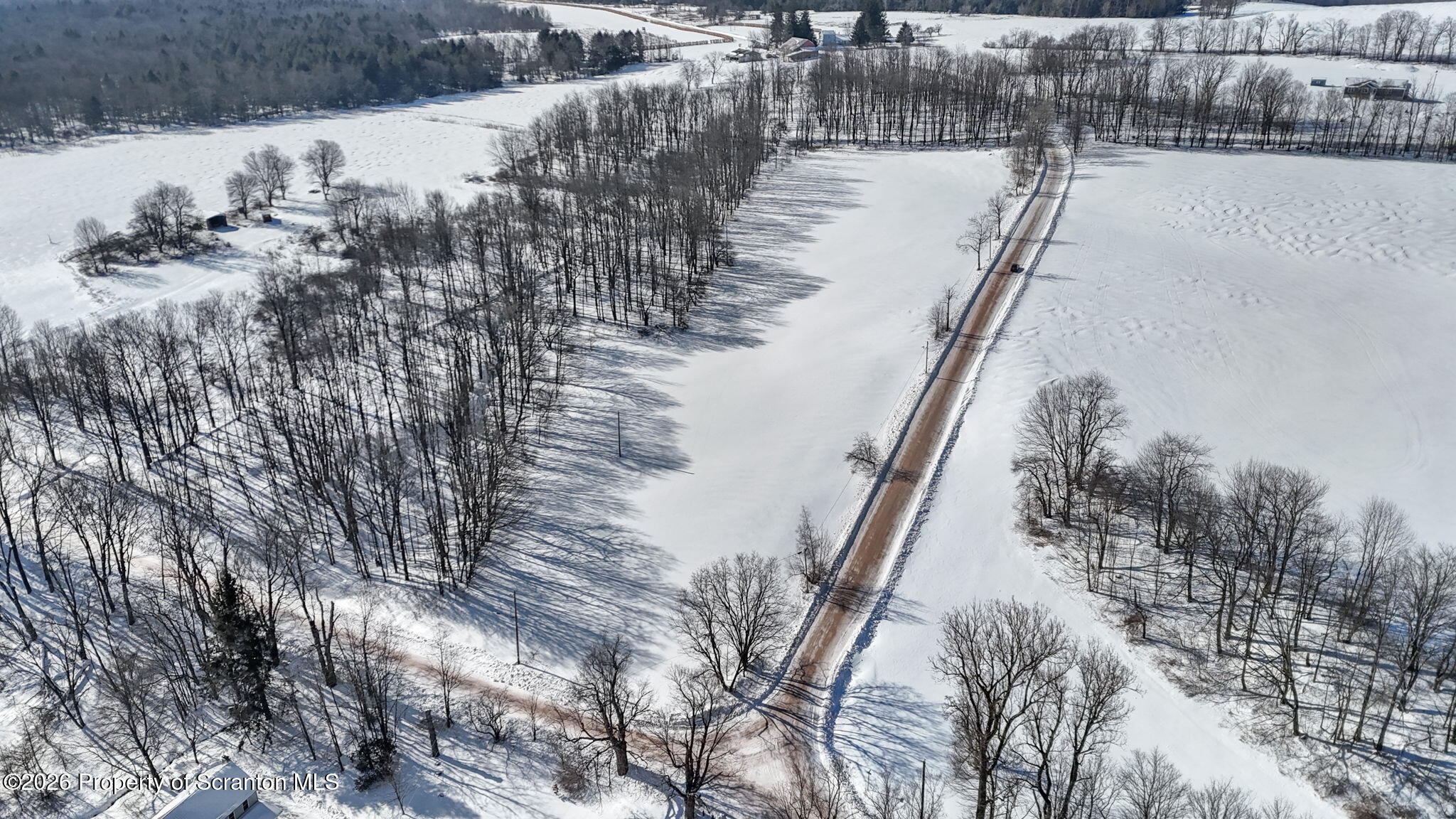 North Road Pleasant Mount, PA 18453 - Photo 4 of 12 Arial