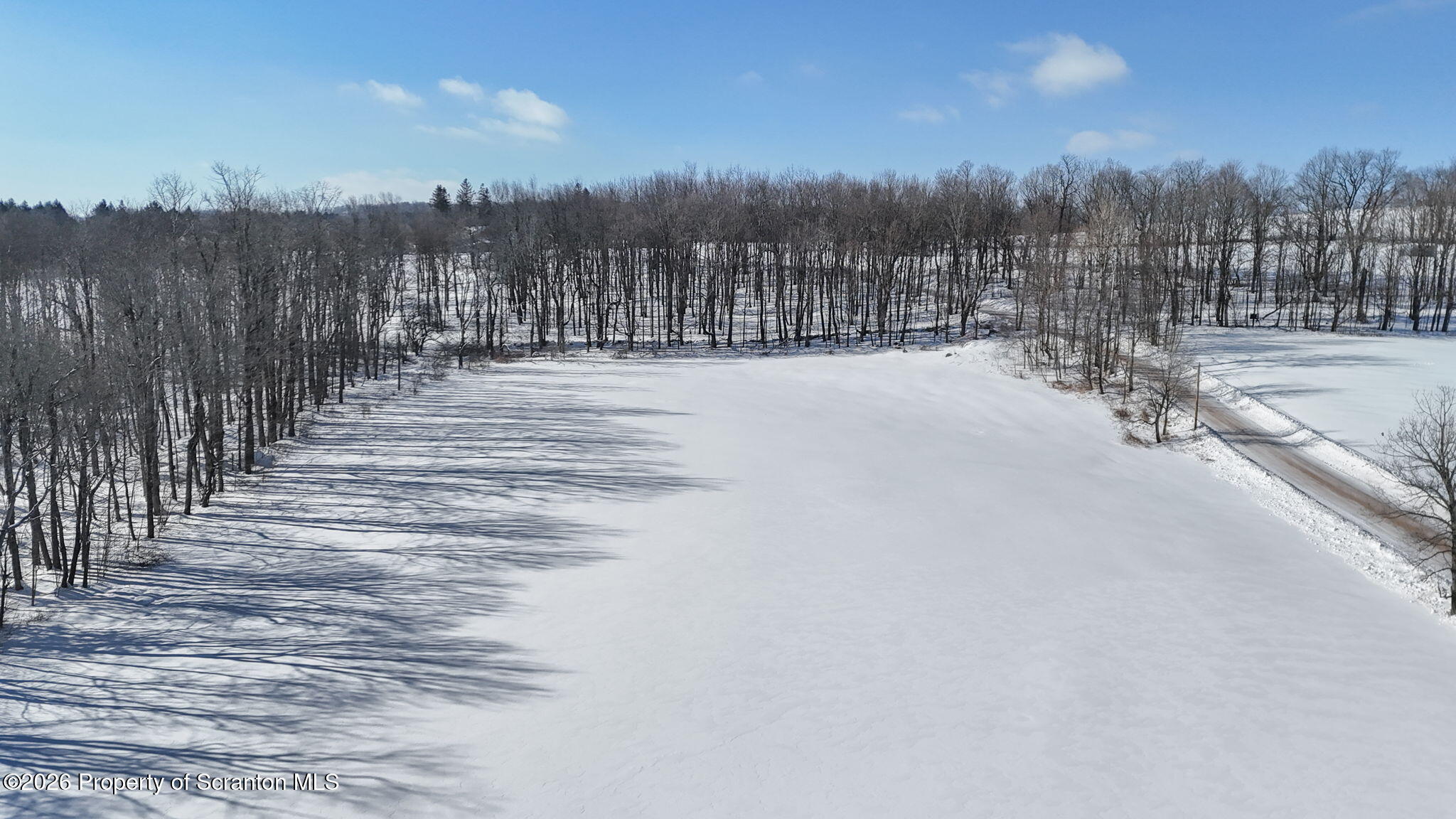 North Road Pleasant Mount, PA 18453 - Photo 7 of 12 Arial