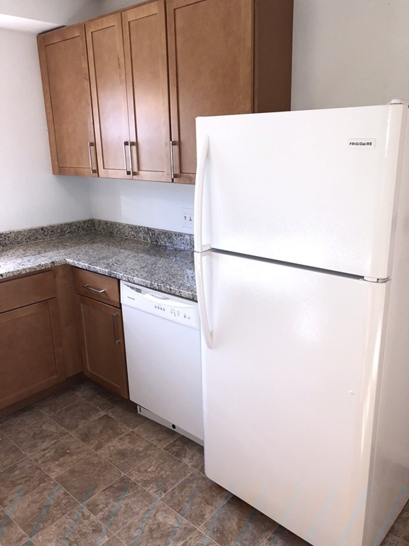 165 Lake Shore Road, Unit 1 Boston, MA 02135 - Photo 3 of 19