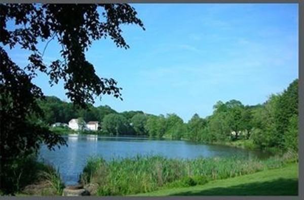 165 Lake Shore Road, Unit 1 Boston, MA 02135 - Photo 6 of 19