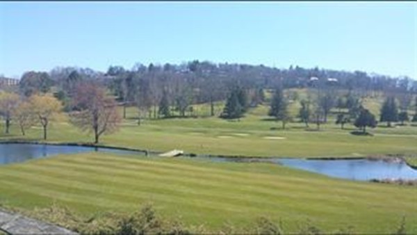 165 Lake Shore Road, Unit 1 Boston, MA 02135 - Photo 8 of 19