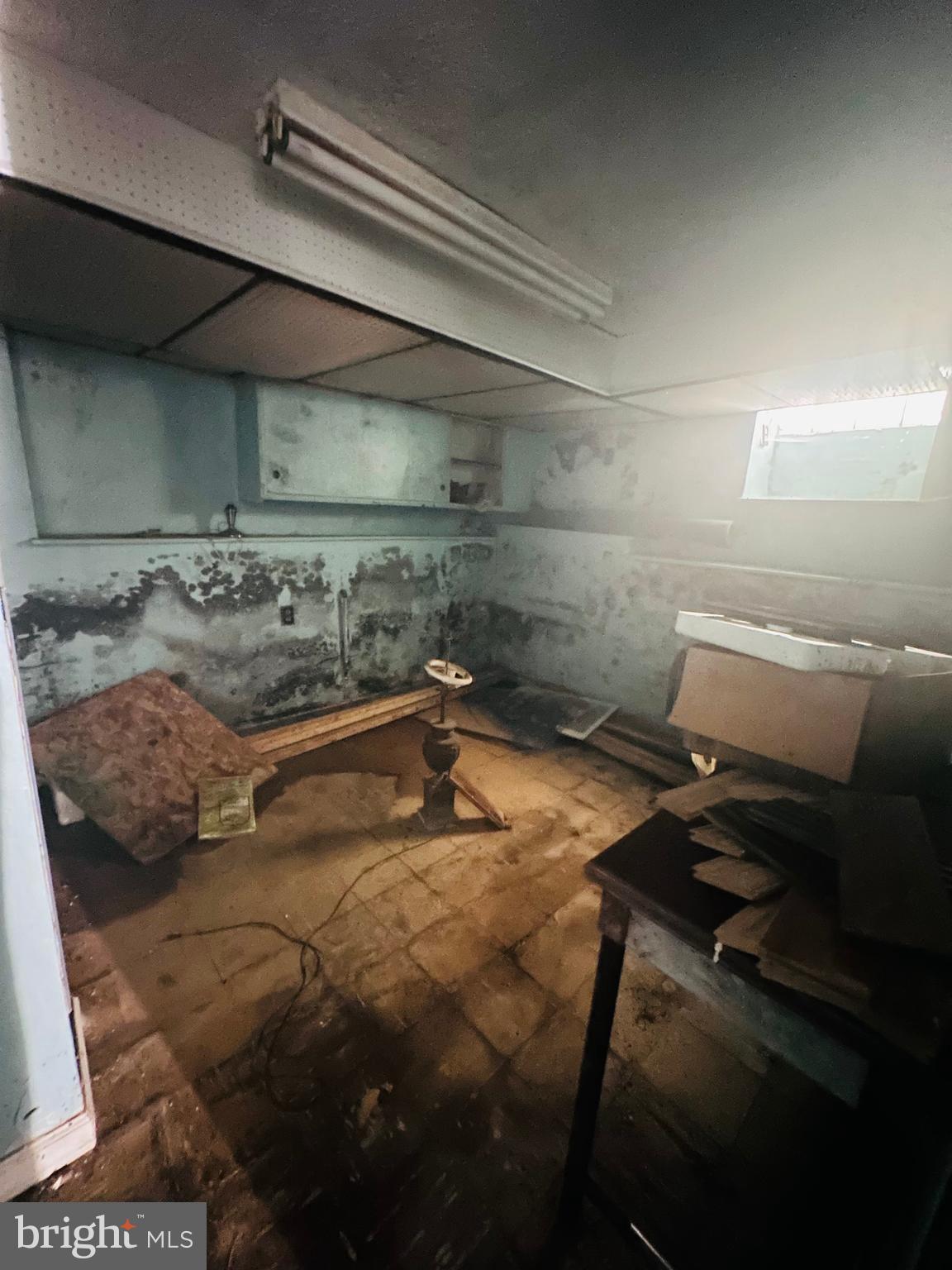 1644 Bridge Street Philadelphia, PA 19124 - Photo 18 of 20 basement