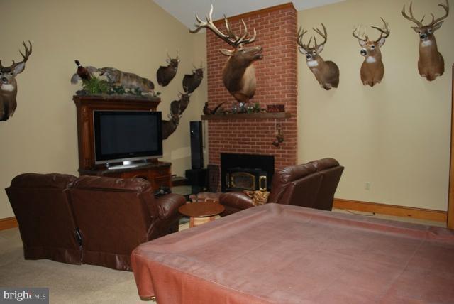 5339 Hines Road Frederick, MD 21704 - Photo 10 of 24 Game Room