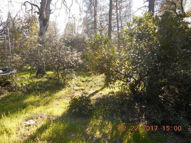 3103 Keswick Dam Road Redding, CA 96003 - Photo 29 of 41 DSCN2841