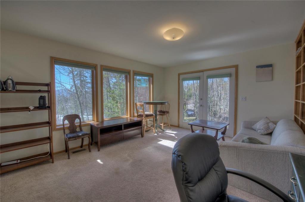 47 Spring Beauty Drive Silverthorne, CO 80498 - Photo 23 of 23 a living room with furniture and a large window