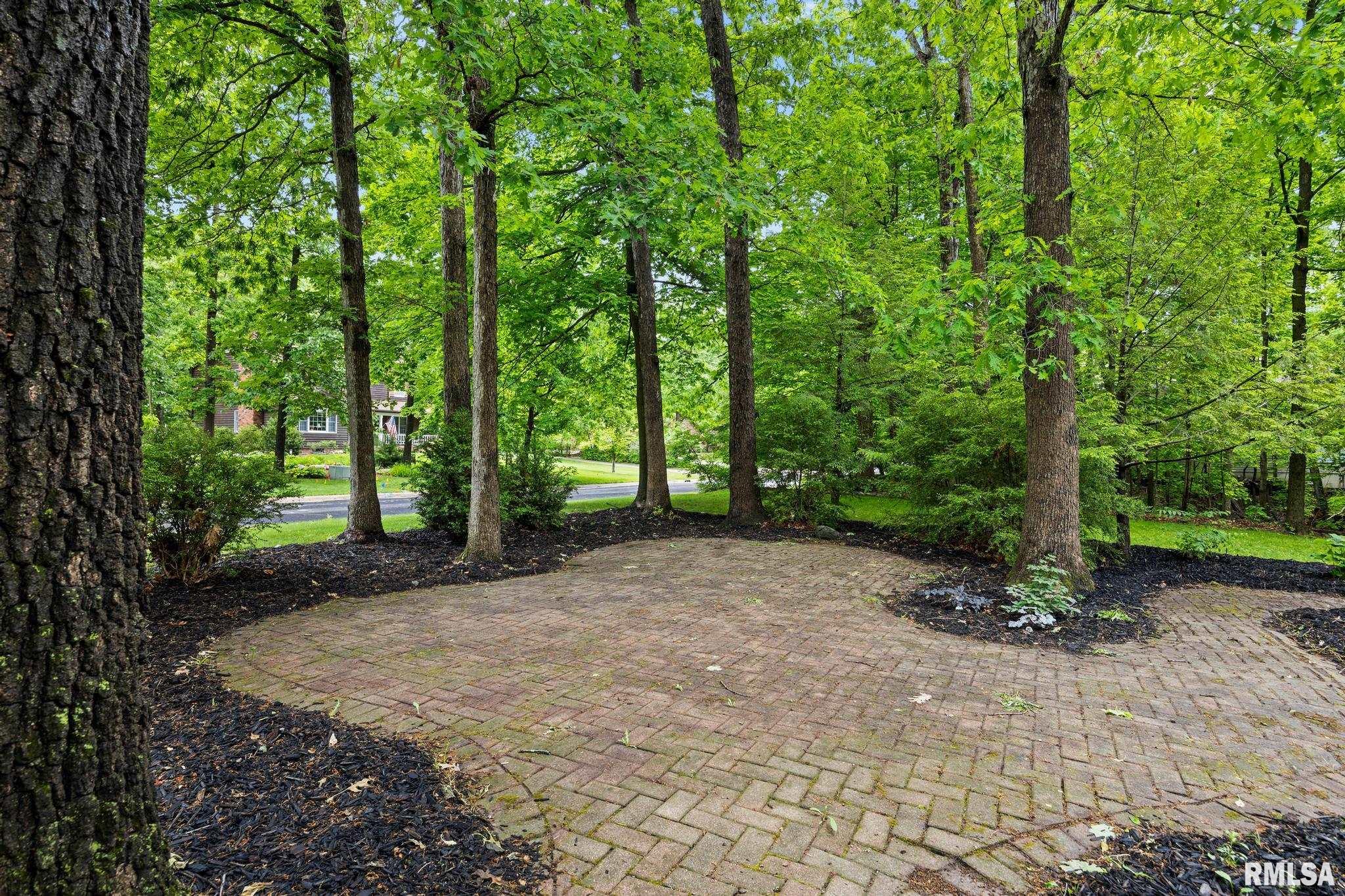 12227 Wood Ridge Court Dunlap, IL 61525 - Photo 3 of 54
