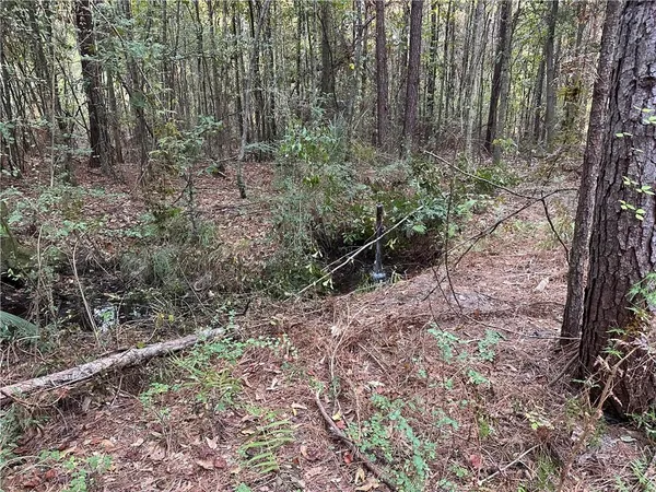 $200,000 | 0 Cow Lane, Ponchatoula, LA 70454