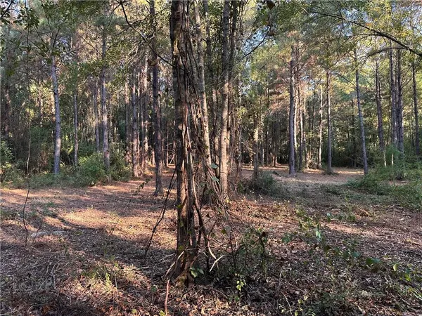 $200,000 | 0 Cow Lane, Ponchatoula, LA 70454