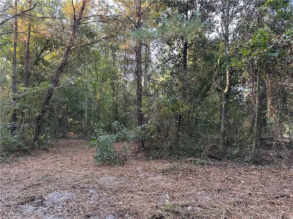 $200,000 | 0 Cow Lane, Ponchatoula, LA 70454