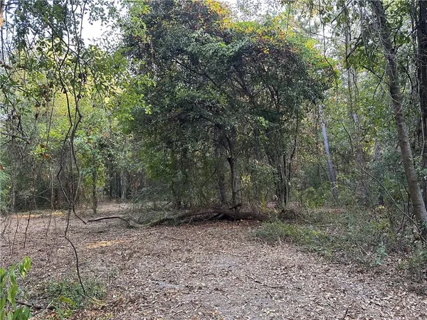 $200,000 | 0 Cow Lane, Ponchatoula, LA 70454