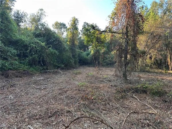 $200,000 | 0 Cow Lane, Ponchatoula, LA 70454