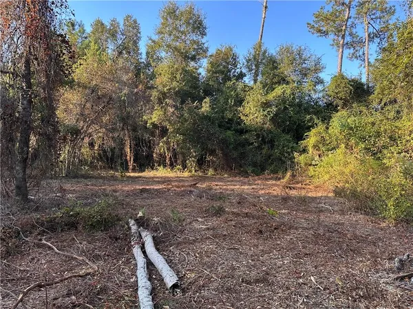 $200,000 | 0 Cow Lane, Ponchatoula, LA 70454