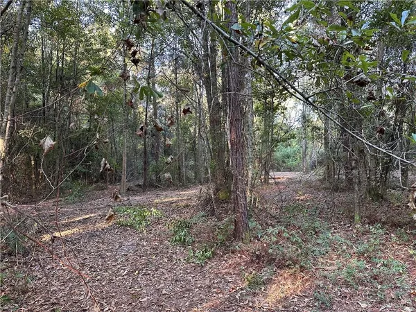 $200,000 | 0 Cow Lane, Ponchatoula, LA 70454