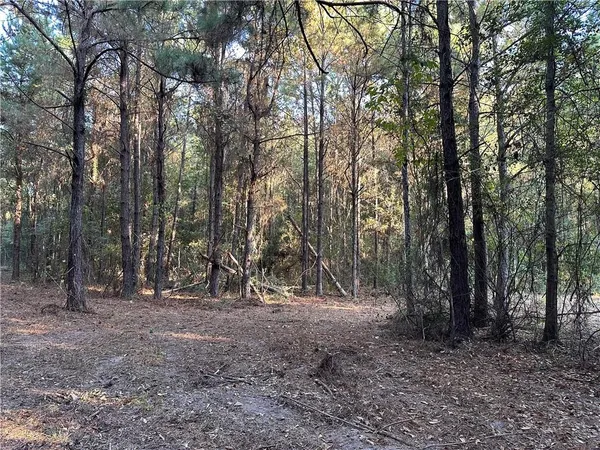 $200,000 | 0 Cow Lane, Ponchatoula, LA 70454