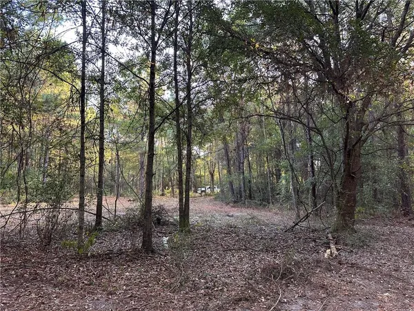 $200,000 | 0 Cow Lane, Ponchatoula, LA 70454