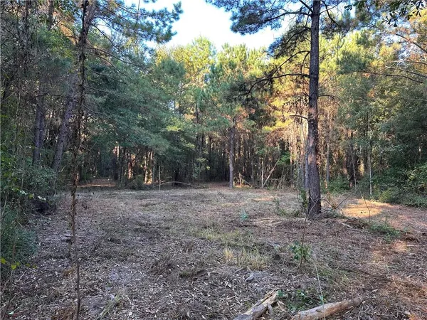 $200,000 | 0 Cow Lane, Ponchatoula, LA 70454