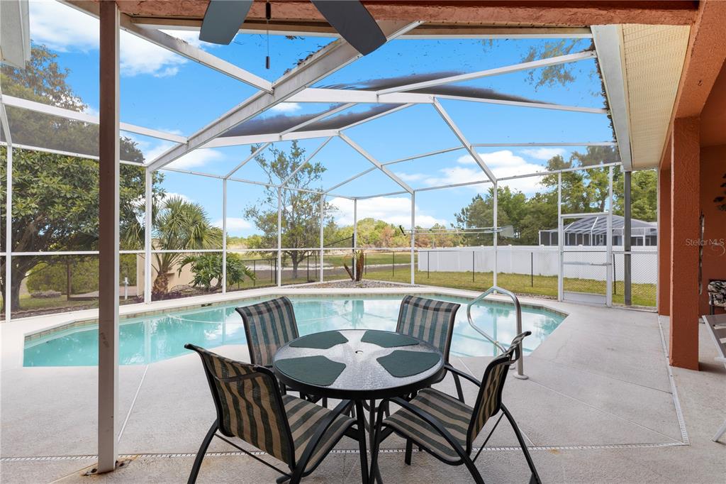 3051 Waterfall Drive Spring Hill, FL 34608 - Photo 45 of 74 a view of a swimming pool with a table and chairs under an umbrella