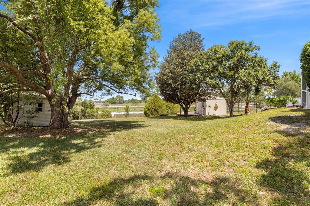 3051 Waterfall Drive Spring Hill, FL 34608 - Photo 52 of 74 a view of yard with tree and trees