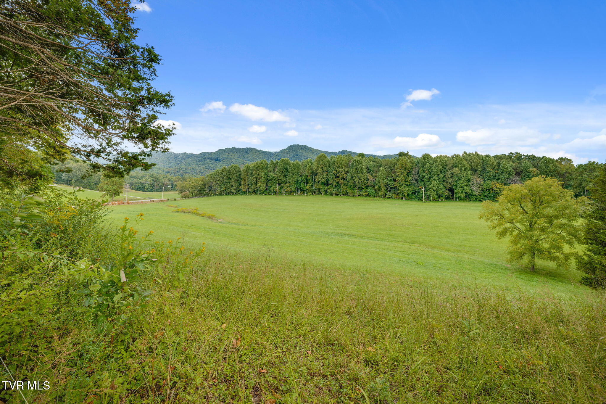137 Charlie Hicks Road Jonesborough, TN 37659 - Photo 25 of 32 025