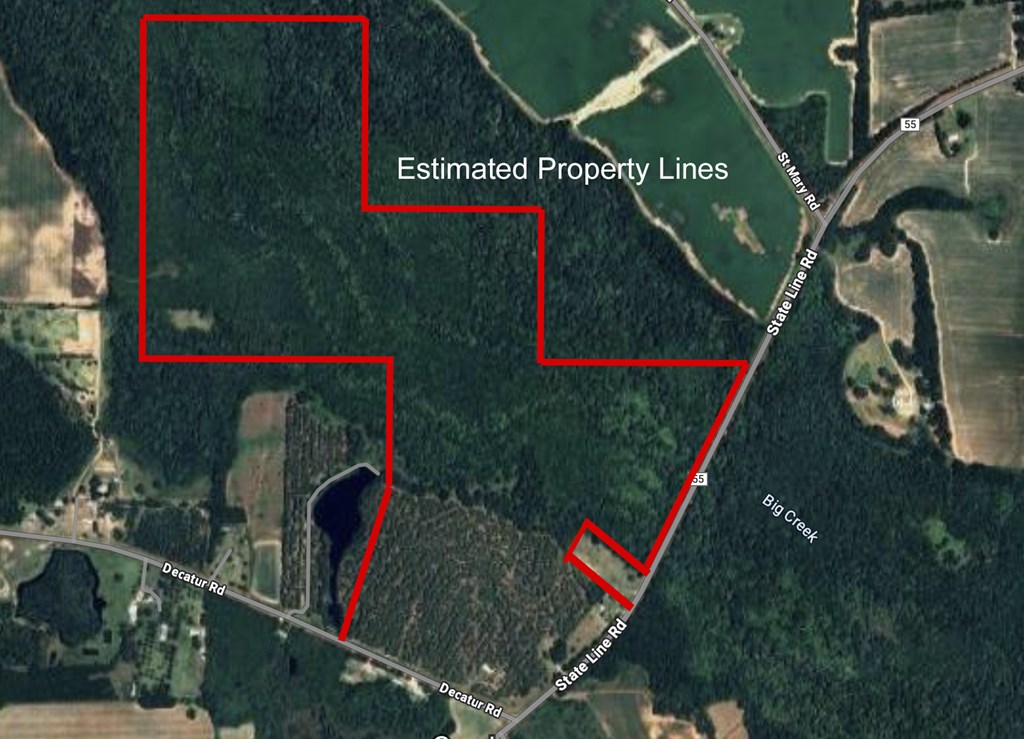 0 State Line Road Cottonwood, AL 36320 - Photo 2 of 27