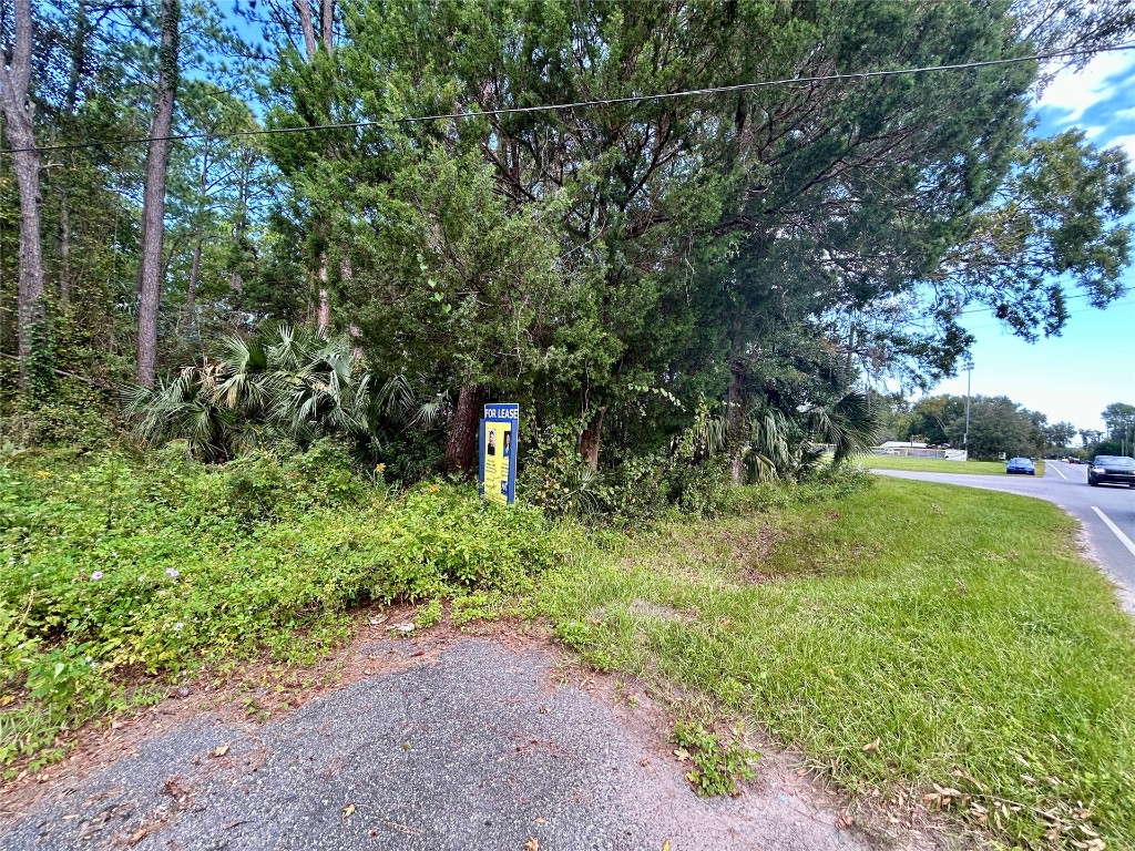 0 Goodbread Road Yulee, FL 32097 - Photo 13 of 19 a big yard with lots of green space and plants