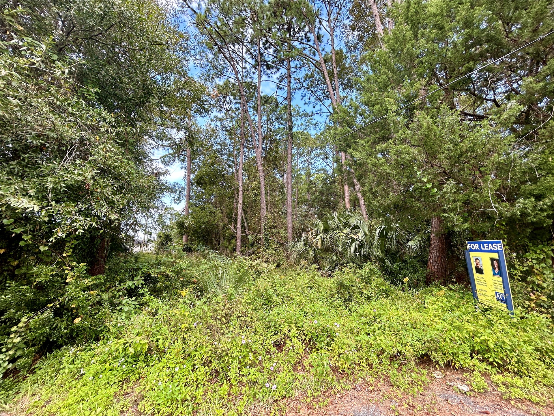 0 Goodbread Road Yulee, FL 32097 - Photo 15 of 19 a view of a garden