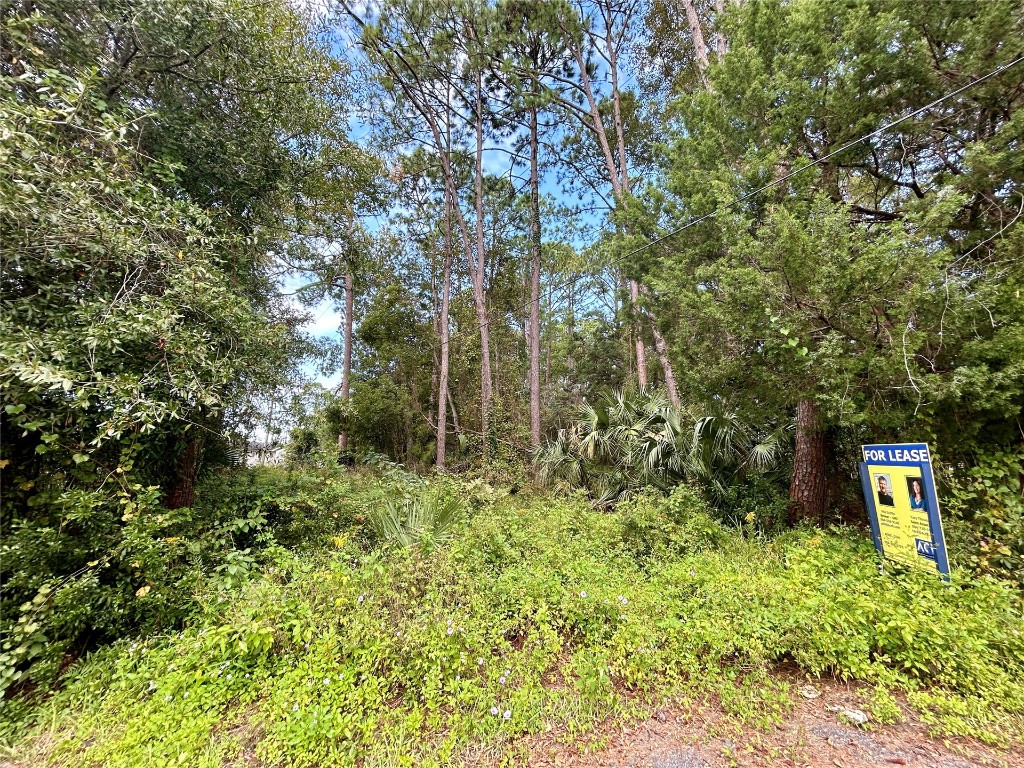 0 Goodbread Road Yulee, FL 32097 - Photo 15 of 19 a view of a garden