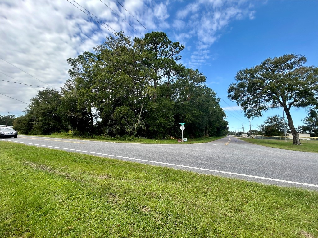 0 Goodbread Road Yulee, FL 32097 - Photo 16 of 19 a view of a field of grass and trees