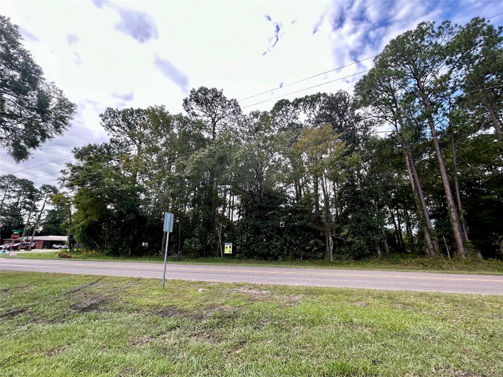 0 Goodbread Road Yulee, FL 32097 - Photo 17 of 19 a view of swimming pool