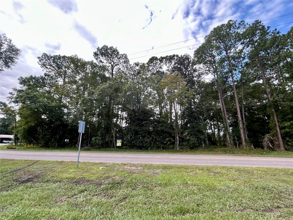 0 Goodbread Road Yulee, FL 32097 - Photo 18 of 19 a view of swimming pool