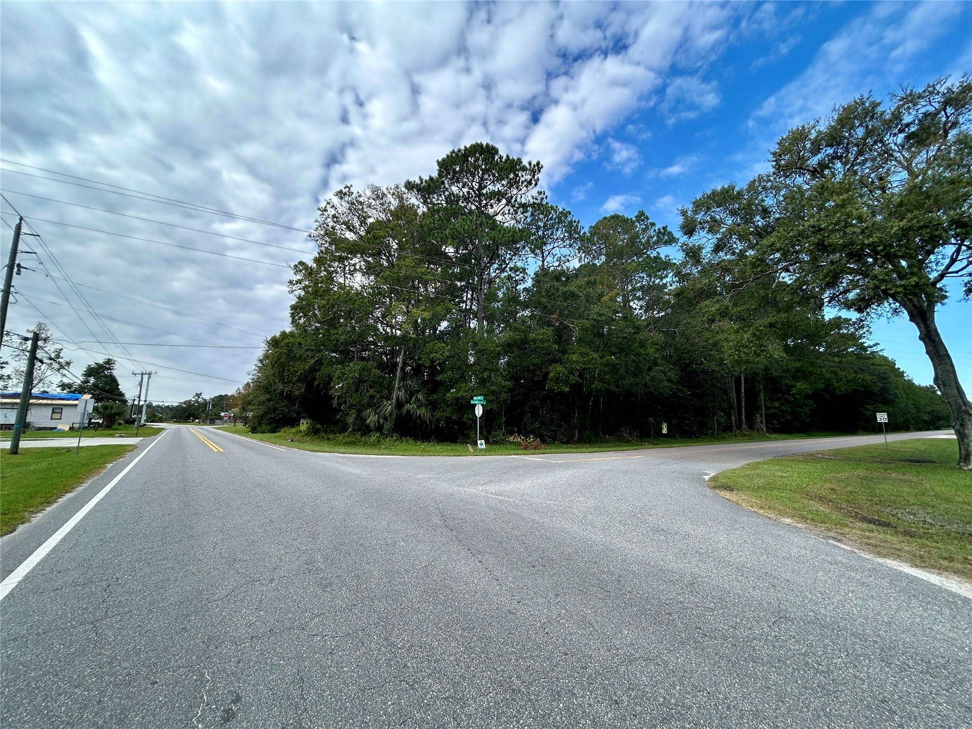 0 Goodbread Road Yulee, FL 32097 - Photo 2 of 19 a view of a field with grass and a tree