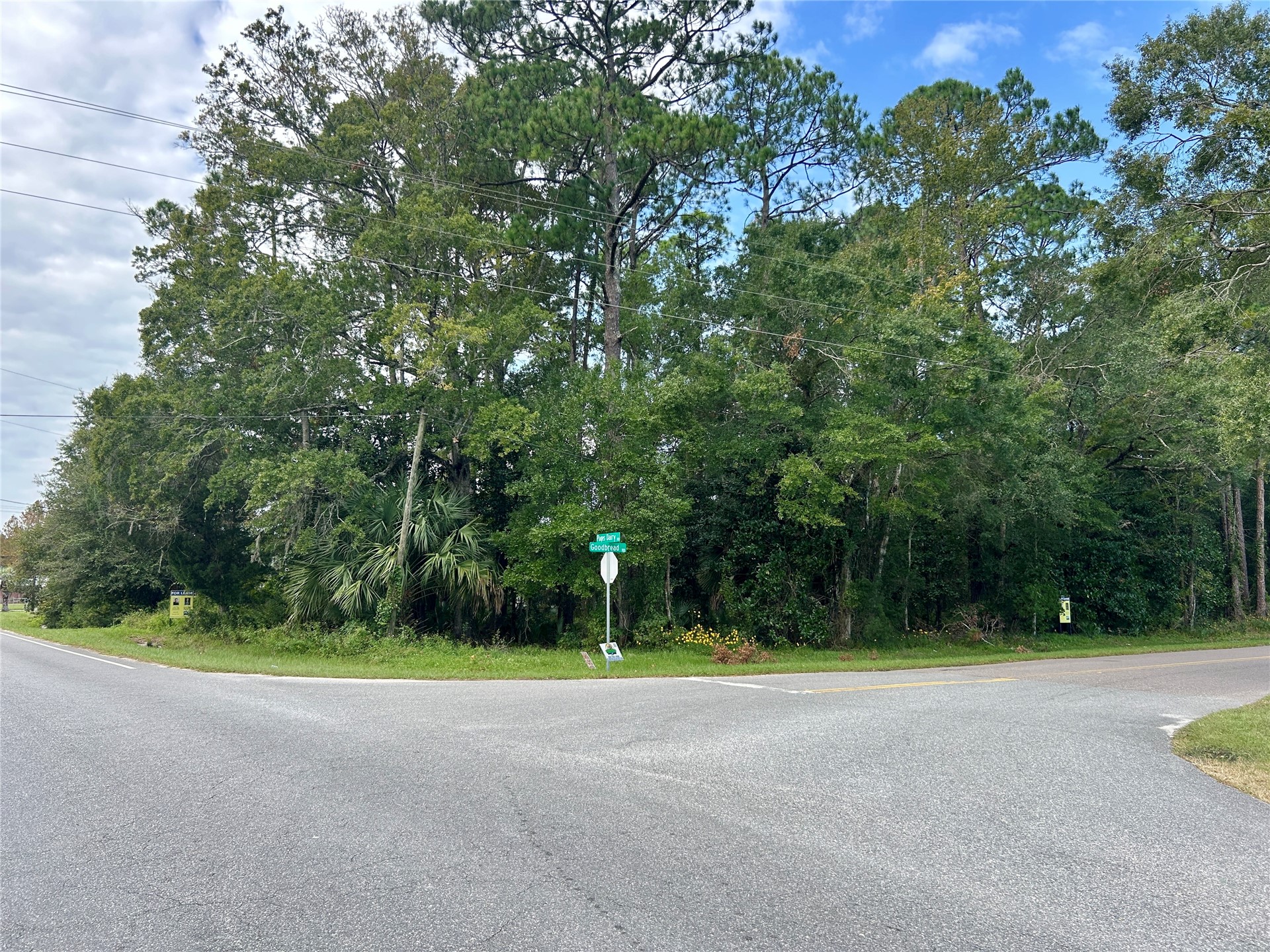 0 Goodbread Road Yulee, FL 32097 - Photo 3 of 19 a view of basketball court
