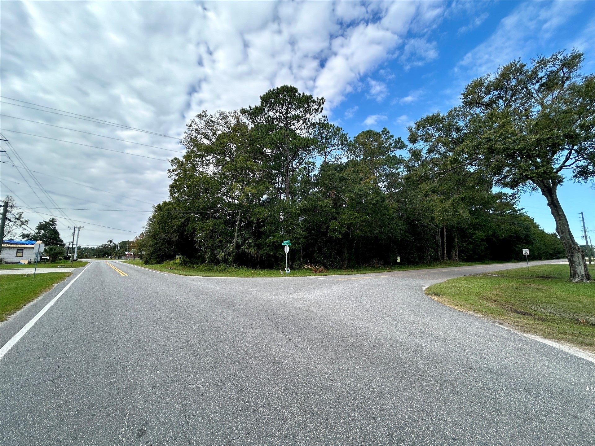 0 Goodbread Road Yulee, FL 32097 - Photo 4 of 19 a view of a field with a tree in the background